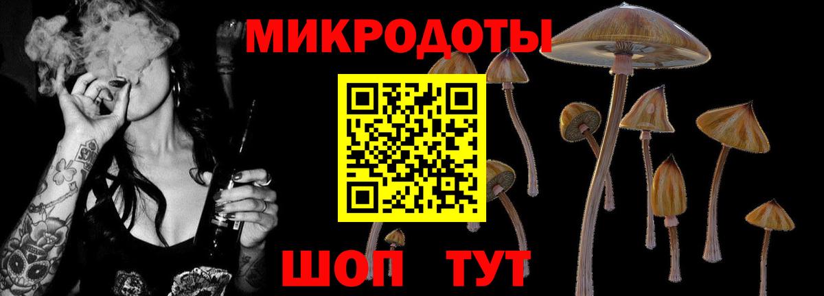 купить   Галлюциногенные грибы Psilocybine cubensis  Вход с VPN  Сочи  Псилоцибиновые грибы GOLDEN TEACHER 