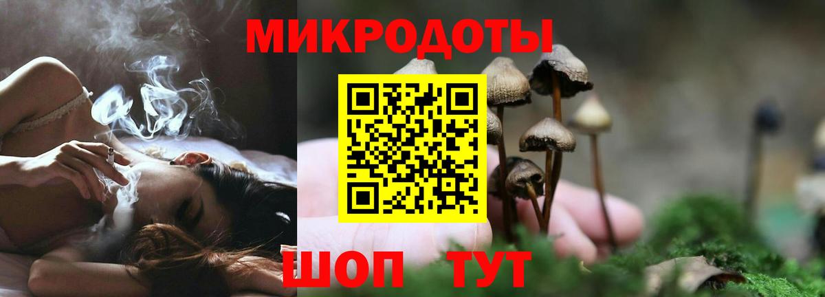 Псилоцибиновые грибы ЛСД Сочи